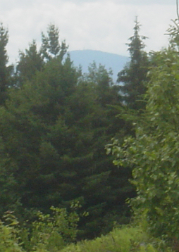 Mt. Greylock as seen from Burnt Hill 